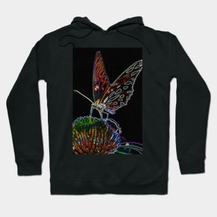 Glowing Butterfly Hoodie